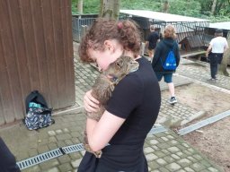 447984302923029096291706815247084686722727n